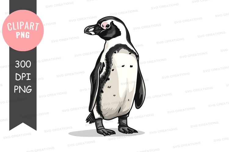 Penguin Cartoon Image 21