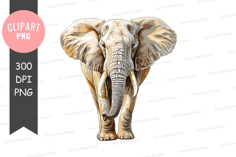 Elephant Background Image 6