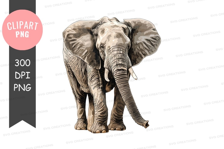 Elephant Illustration Image 20