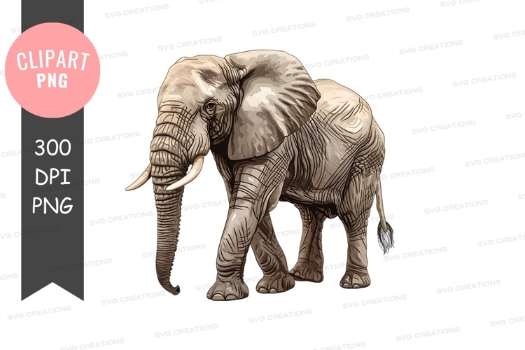 Elephant Png Clipart