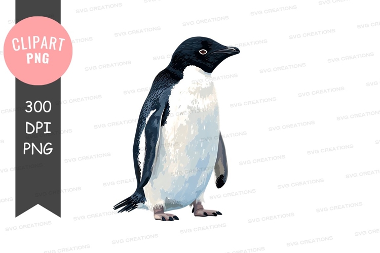 Penguin Png Image 16