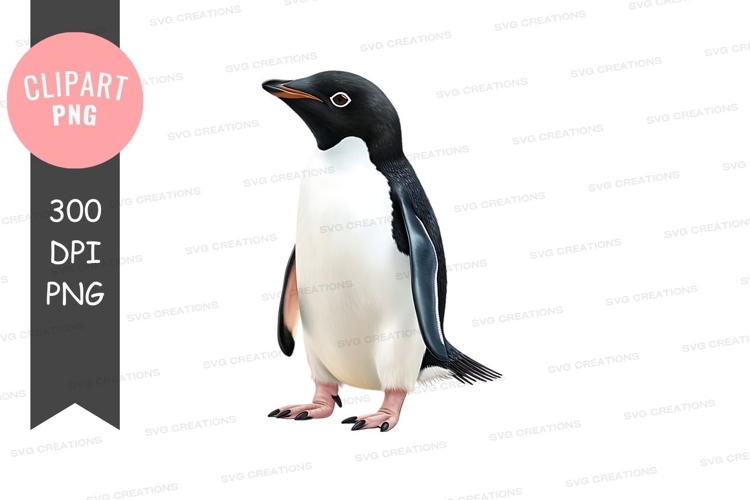 Stecknadel Png Image 21