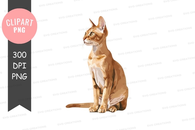 Eyes Clipart Image 21