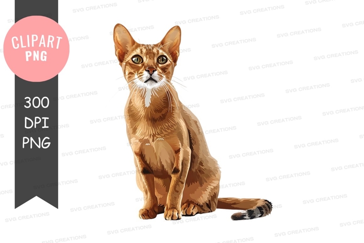 Elegant orange cat sitting