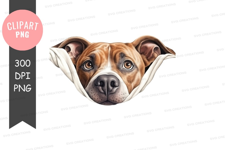 Curious dog peeking from blanket