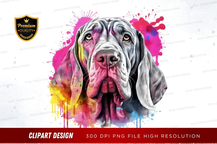 Playful dog with colorful splash