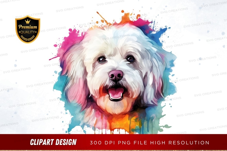 Happy dog with colorful splash