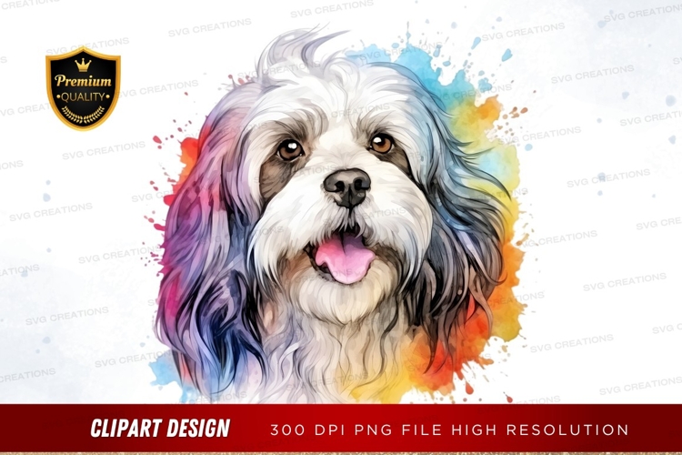 Happy dog with colorful splash