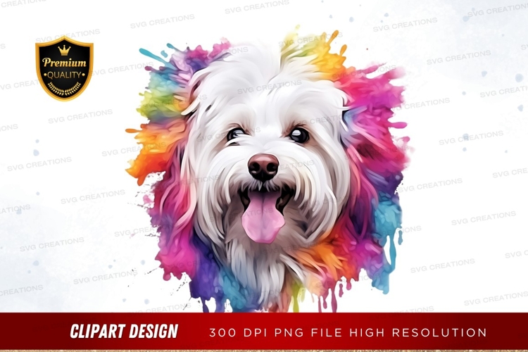 Happy dog with rainbow splash