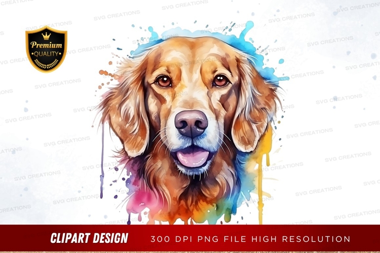 Golden retriever with colorful splash