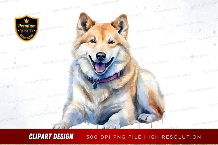 Happy shiba inu