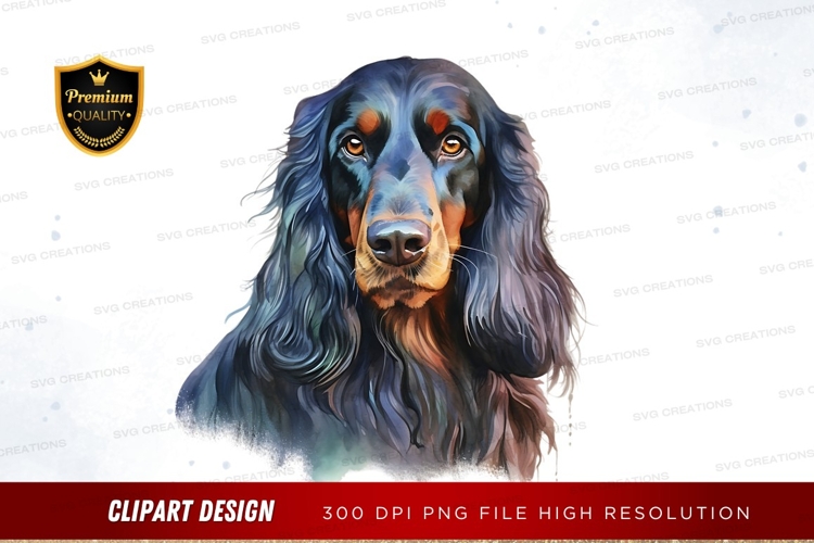 Pet Illustration Image 24