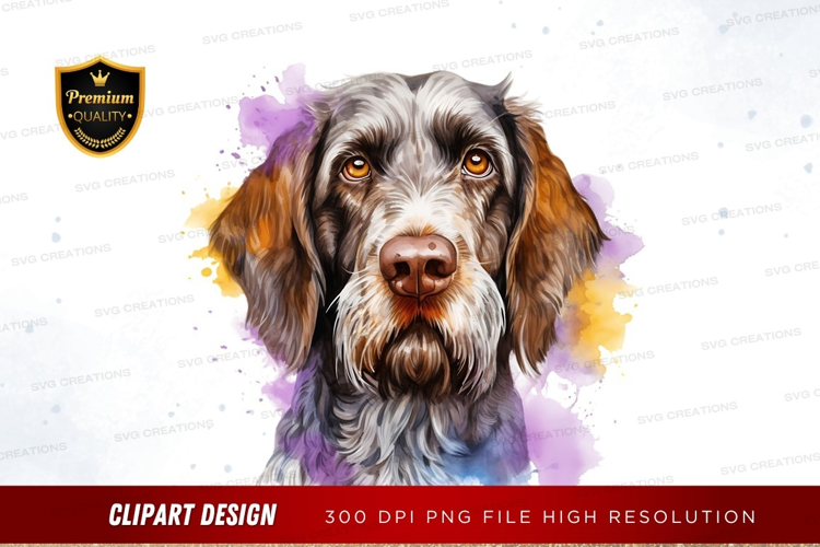Portrait of a wire-haired pointing griffon