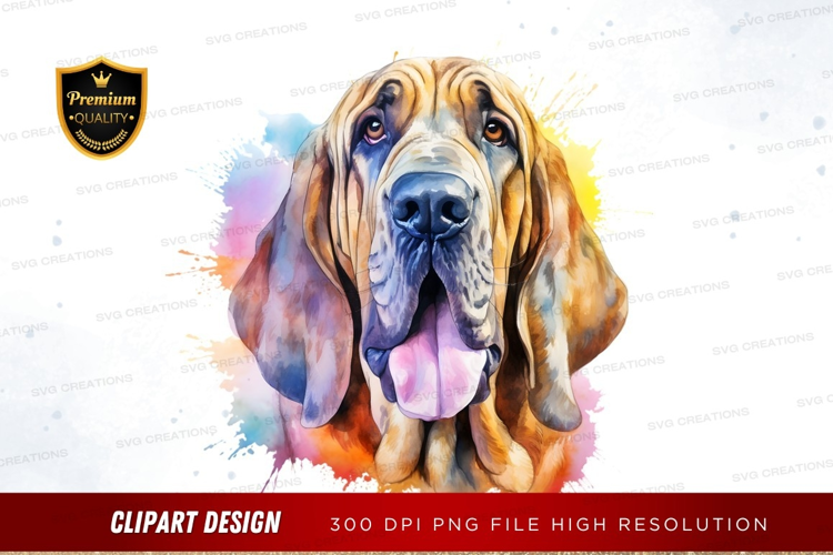 Playful bloodhound portrait