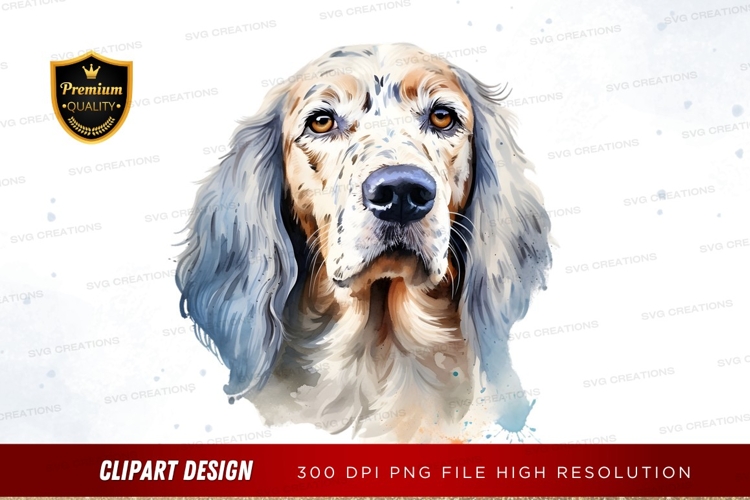 Pet Illustration Image 12