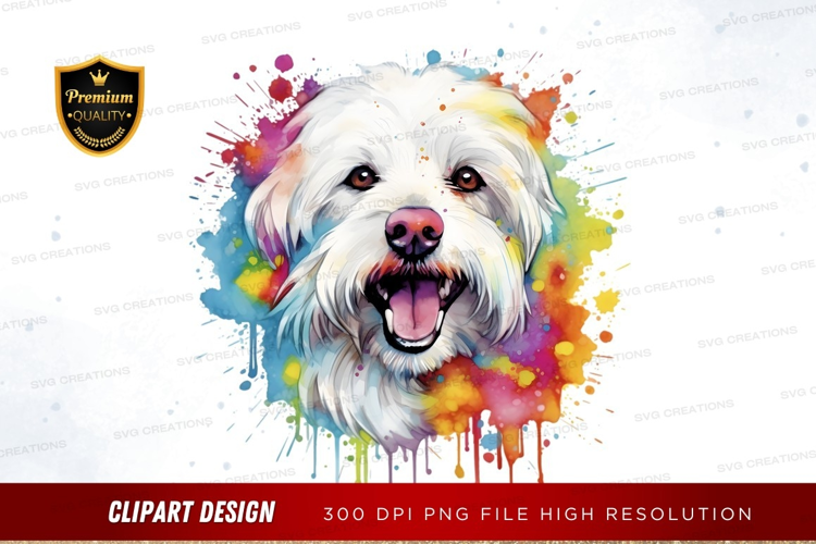 Happy dog with colorful splash