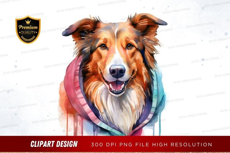 Happy collie dog with scarf