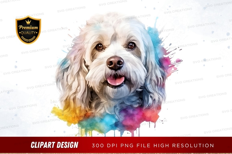 Happy dog with colorful splash