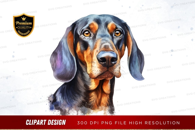 Pet Illustration Image 20