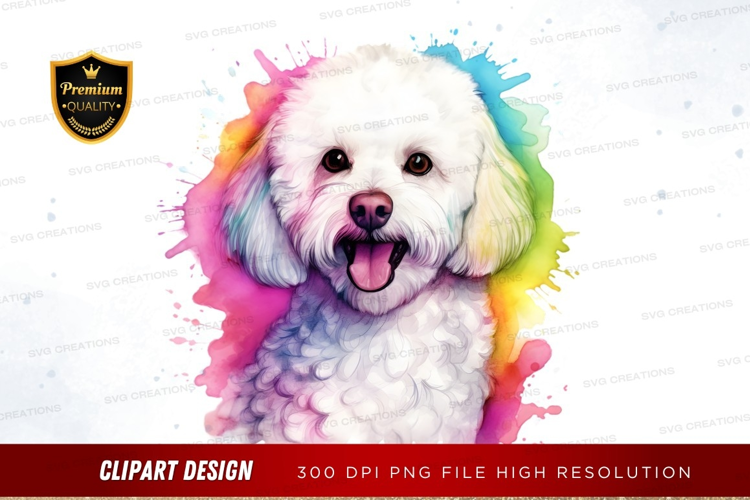 Happy bichon frise with rainbow splash