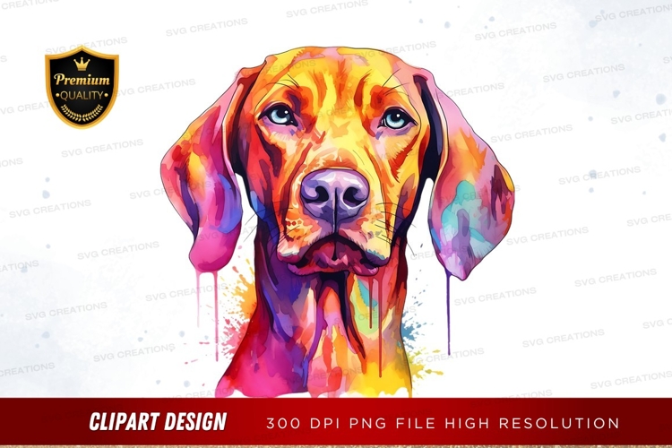 Rainbow Clipart PNGs Image 7