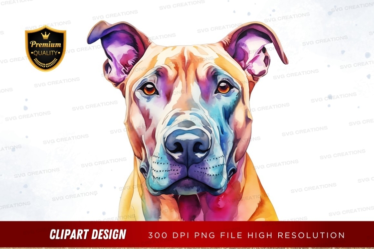 Bright Clipart Image 13