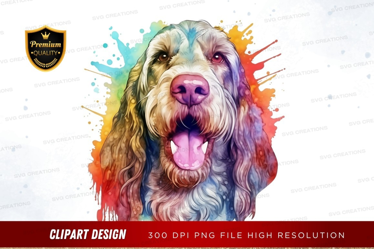 Happy dog with colorful splash