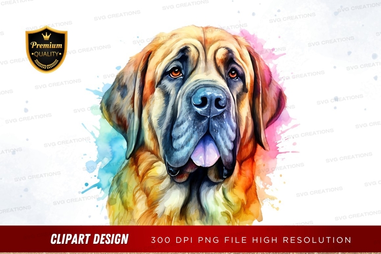 Pet Illustration Image 13