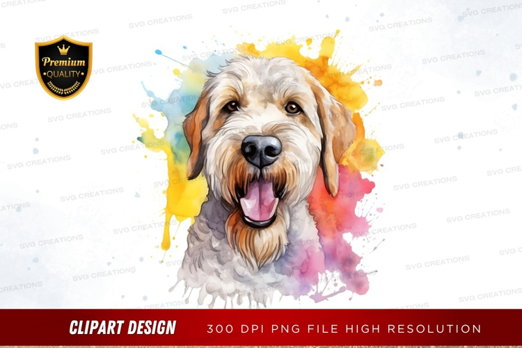 Happy dog with colorful splash