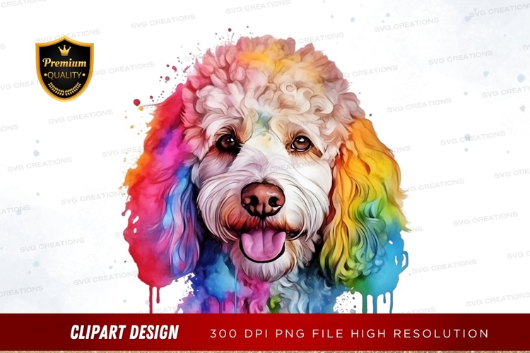 Rainbow Illustration