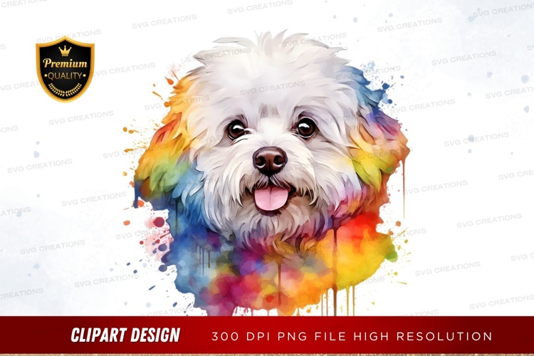 Happy dog with rainbow splash