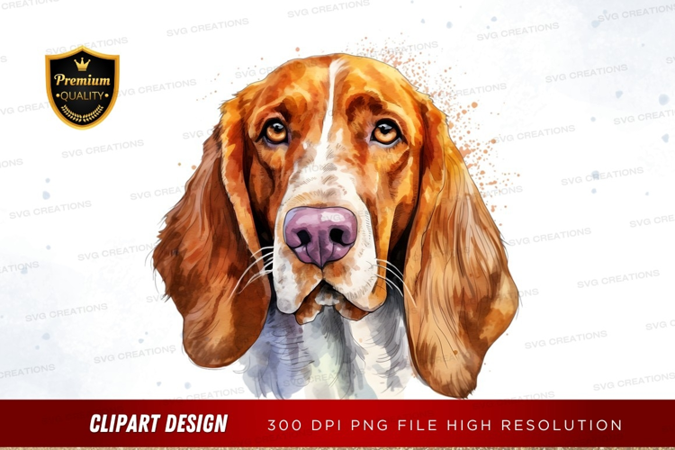 Portrait of a basset hound