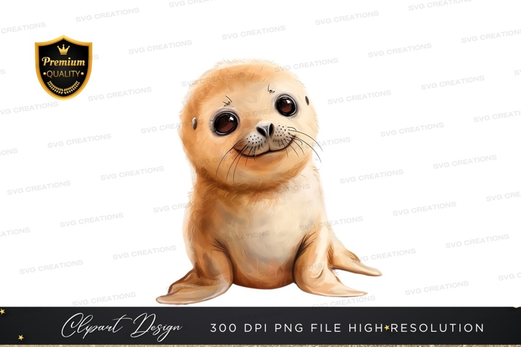 Cute baby seal clipart png