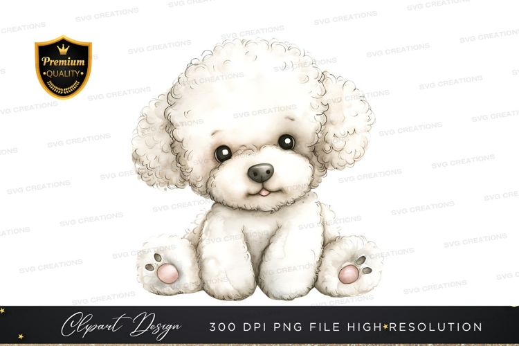 Cute white poodle puppy clipart png