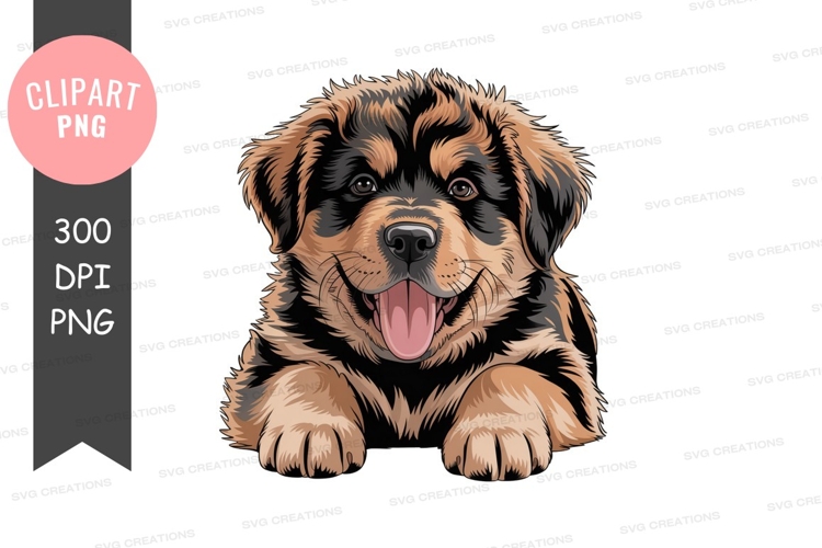 Shih Tzu Clipart Image 11