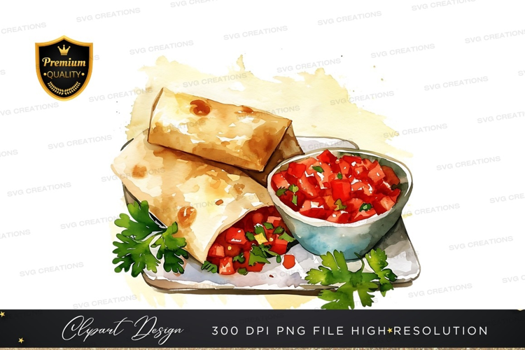 Delicious burrito with salsa