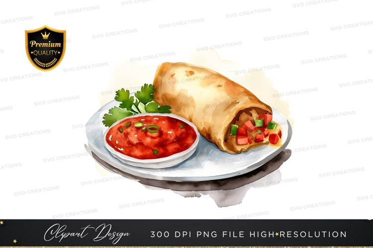 Delicious burrito with salsa