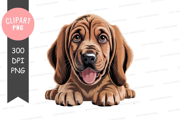 Puppy Illustration Image 20