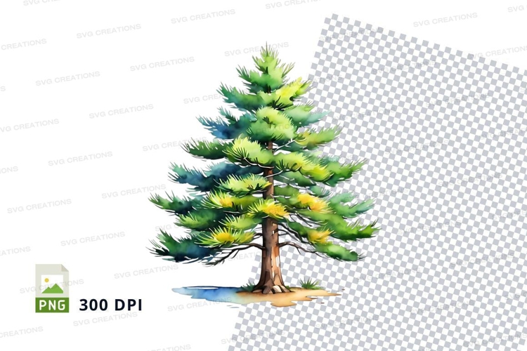 Nature Illustration Image 12