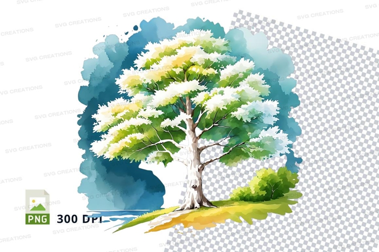 Watercolor tree clipart png