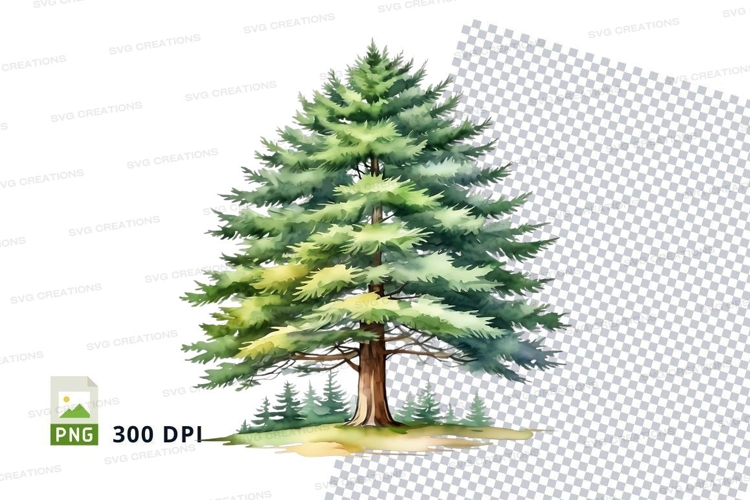 Nature Illustration Image 13