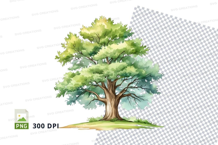 Nature Illustration Image 4