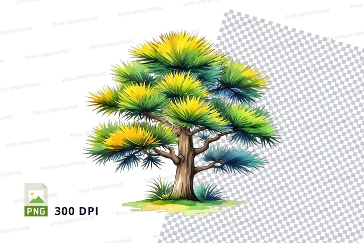 Watercolor pine tree clipart png