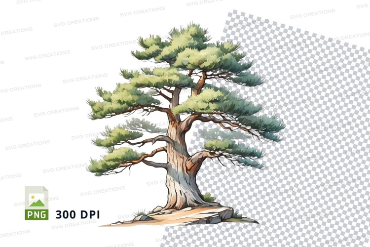 Nature Illustration Image 11