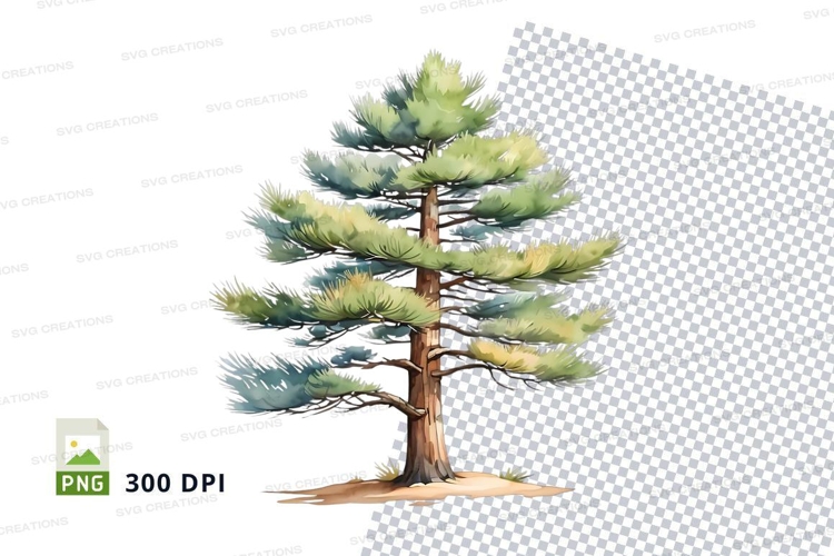 Nature Illustration Image 7