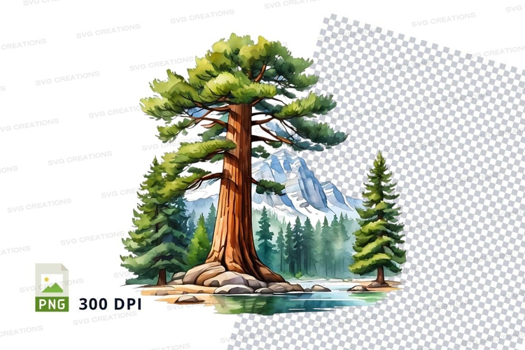 Forest Clipart Image 19