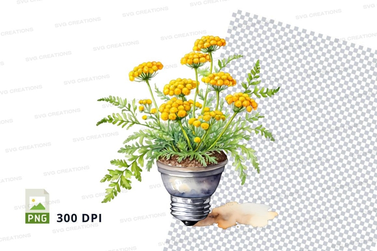 Light Yellow Background Image 6