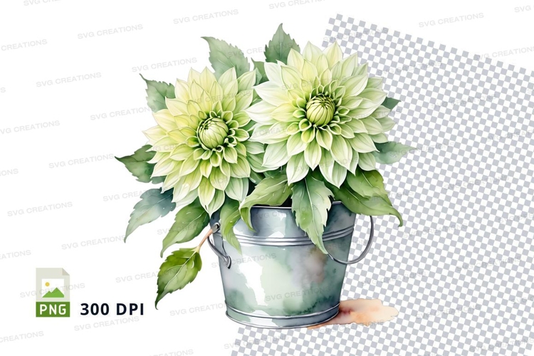 Nature Illustration Image 16