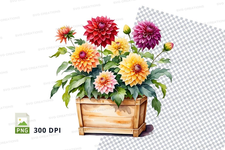 Nature Illustration Image 23