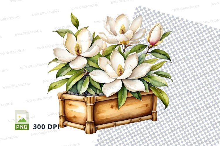 Watercolor magnolia flowers in bamboo pot clipart png